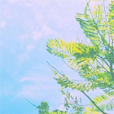 爱游戏全站-登录入口截图